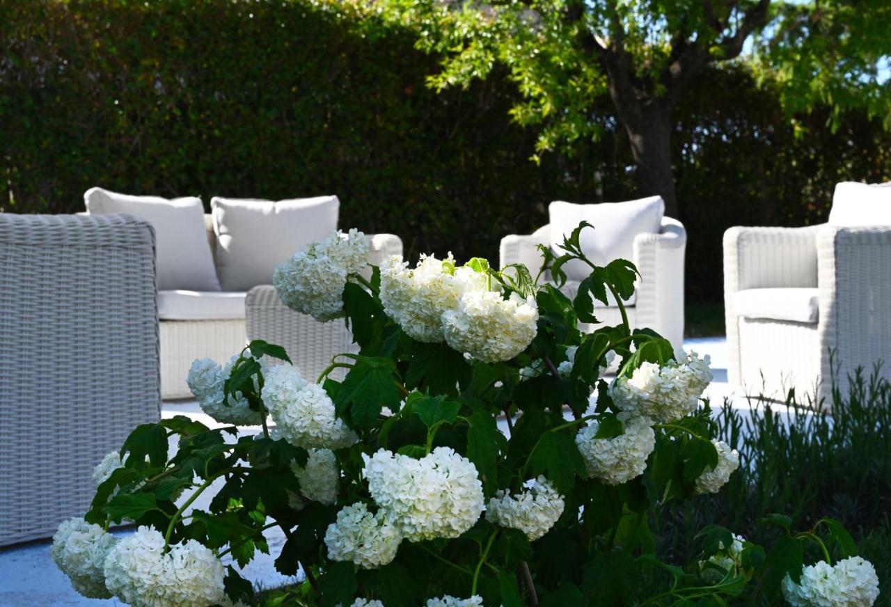 Aura Relais Bed & Breakfast Numana Dış mekan fotoğraf