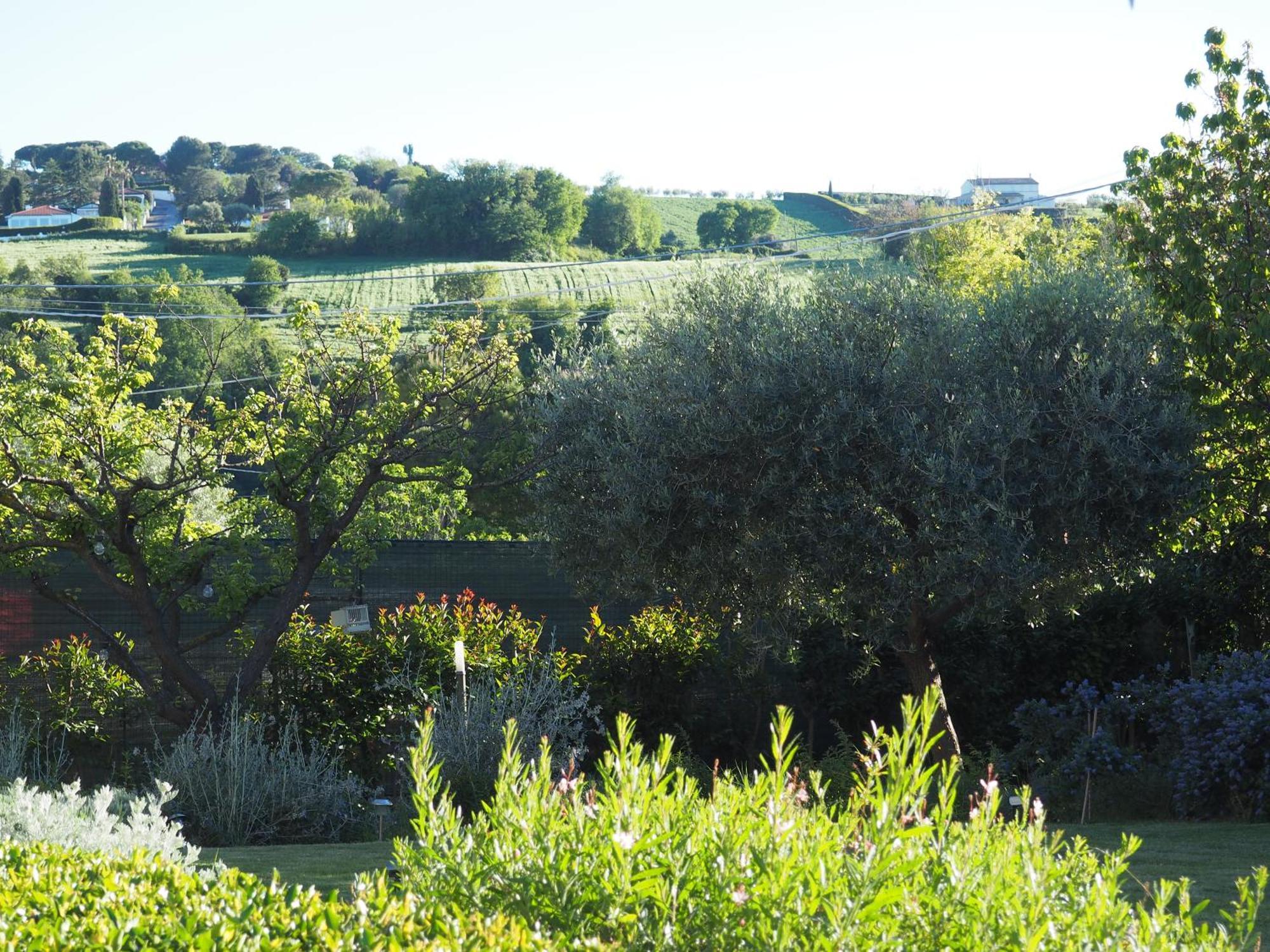 Aura Relais Bed & Breakfast Numana Dış mekan fotoğraf